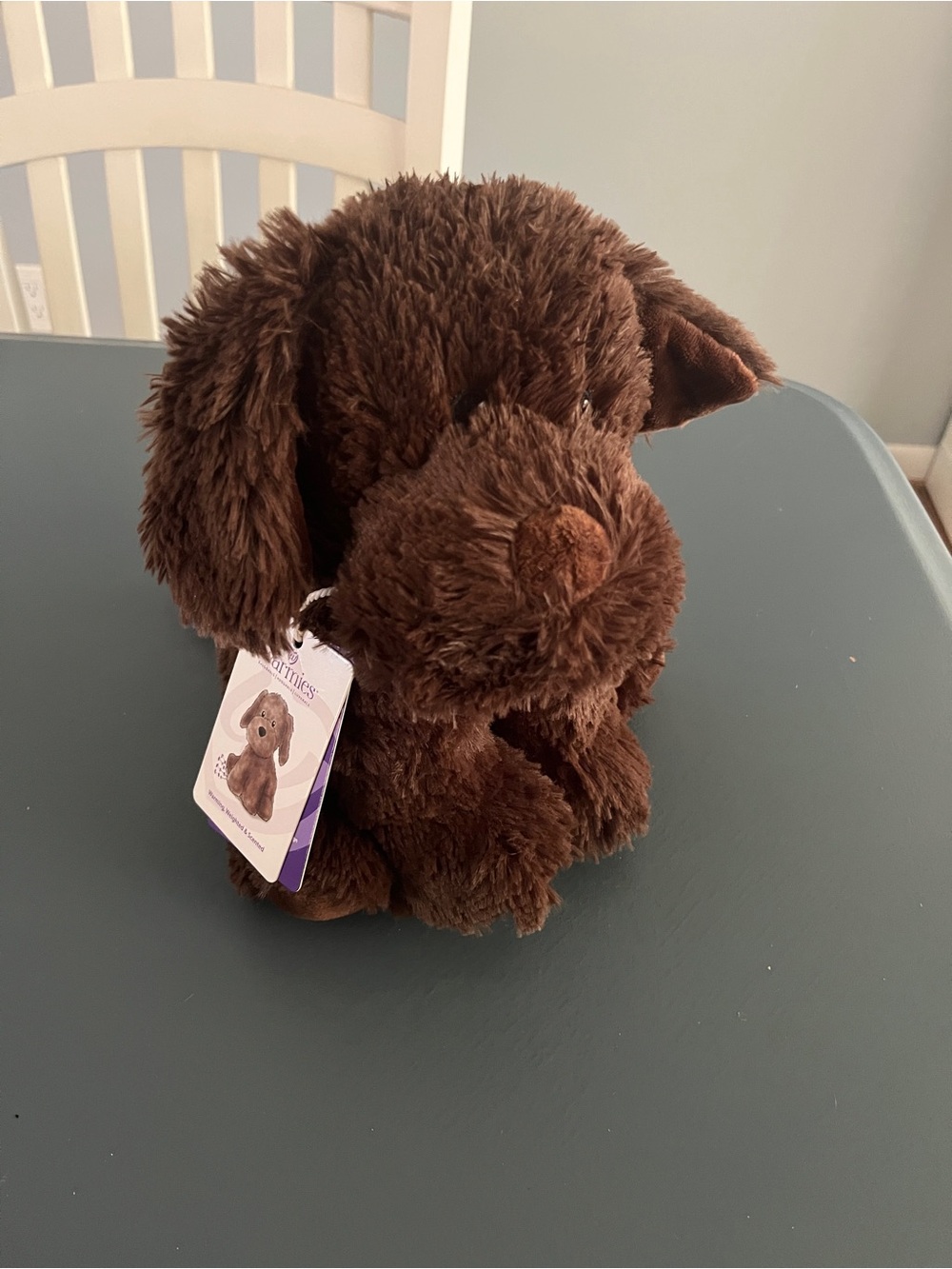 NEW Warmies Microwavable Weighted Chocolate Labrador Brown Dog Plush Toy Stuffed